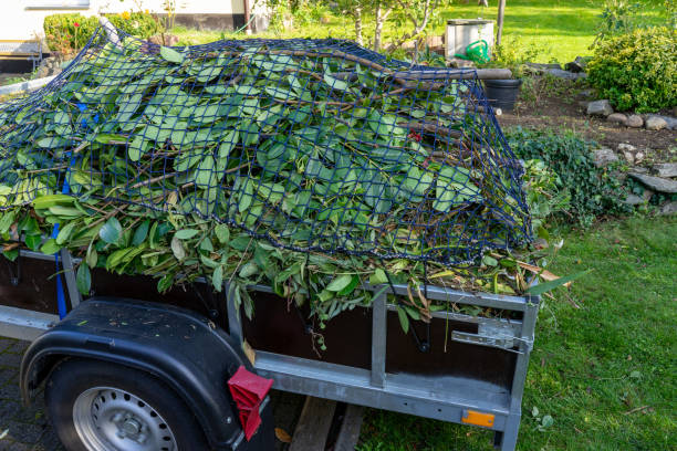 Same-Day Junk Removal Services in Willow Springs, MO